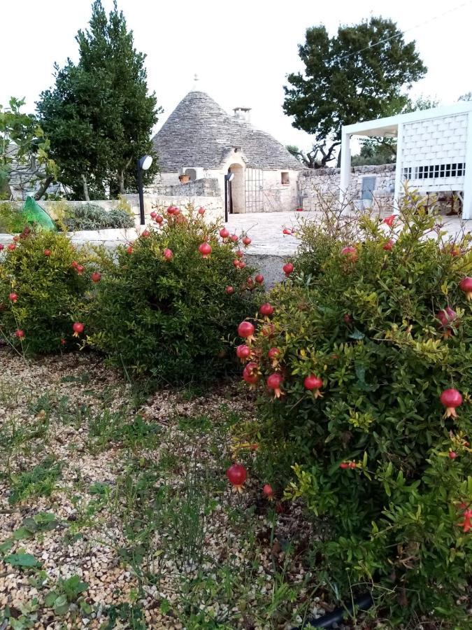 Гостевой дом Trullo Monte Del Sale Альберобелло Экстерьер фото
